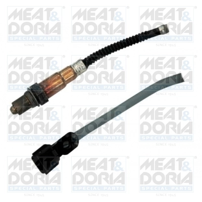 Oxygen Sensor